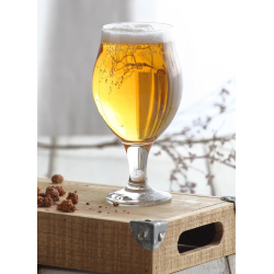 Verre à bière Angelina 57Cl LAV