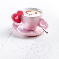 Set 4 emporte pièces en inox | Materiel-horeca | Achat en ligne