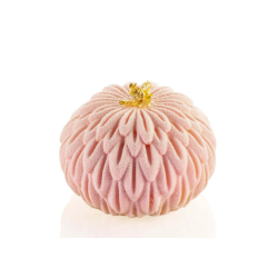 Moule à pâtisserie, Moule en silicone