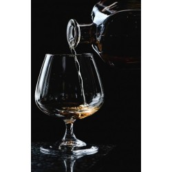 Verre à cognac 15,25 et 76 Cl Trempet. Pâques le spécialiste du matériel horeca, ustensiles de cuisine professionnels et meilleu