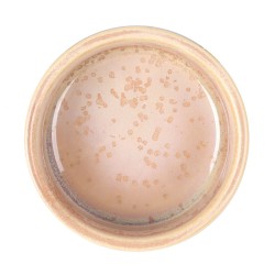 Bol IRIS Beige 8x4cm 12cl.  Paques SA votre spécialiste de la vente de matériel horeca & cuisine sur Liège et toute la Belgique 