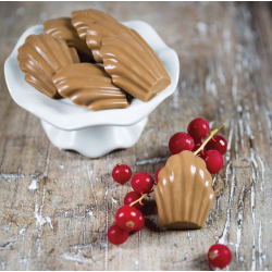 Moule à pâtisserie pour 15 Madeleine Silikomart. Paques SA votre spécialiste de la vente de matériel horeca & cuisine sur Liège