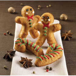 Moule à pâtisserie Bonhomme en pain d’épices .Paques SA vous trouverez tout le matériel horeca aux prix les + bas! Notre magasin