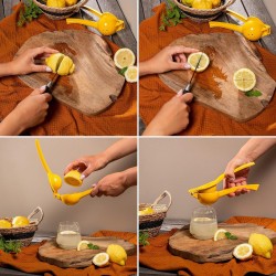Presse citron en Aluminium.  Paques SA votre spécialiste de la vente de matériel horeca & cuisine sur Liège et toute la Belgique