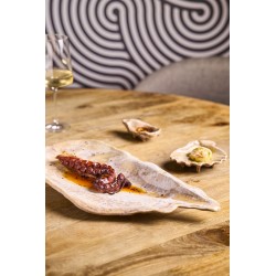 PLATEAU MOULE MOMI 52x23.5x5.5cm. Paques SA votre spécialiste de la vente de matériel horeca & cuisine sur Liège et toute la Bel
