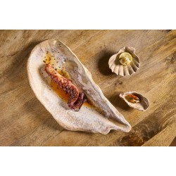 PLATEAU MOULE MOMI 52x23.5x5.5cm. Paques SA votre spécialiste de la vente de matériel horeca & cuisine sur Liège et toute la Bel