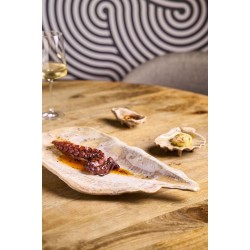 PLATEAU MOULE MOMI 52x23.5x5.5cm. Paques SA votre spécialiste de la vente de matériel horeca & cuisine sur Liège et toute la Bel