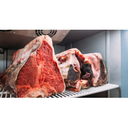 Armoire de maturation Réfrigérée pour viande maturée. Paques SA votre spécialiste de la vente de matériel horeca & cuisine sur L