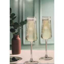 Flûte à champagne Linea 20 CL. Paques SA votre spécialiste de la vente de matériel horeca & cuisine sur Liège et toute l