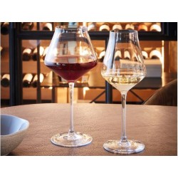 Verre Revel Up 30Cl,40Cl,45Cl et 55 Cl. Paques SA votre spécialiste de la vente de matériel horeca & cuisine sur Liège et toute 