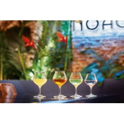 VERRE SPIRITS LIQUEUR 17CL . Paques SA vous trouverez tout le matériel horeca aux prix les + bas! Notre magasin est à Liège