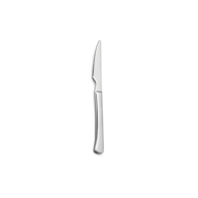Couteau à Steak SET 12