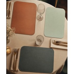 Set de table 30X45CM 3 COULEURS DISPONIBLES. Achetez chez Paques SA, magasin de l'HORECA.