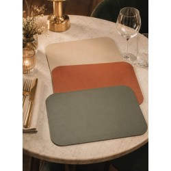 Set de table 30X45CM 3 COULEURS DISPONIBLES. Achetez chez Paques SA, magasin de l'HORECA.