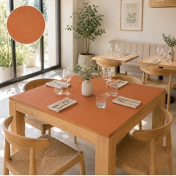Tapis de table 70x70 2 couleurs disponibles  . Achetez chez Paques, magasin HORECA.