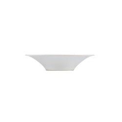 Assiette SILVER finition glacis.Paques SA votre spécialiste de la vente de matériel horeca & cuisine sur Liège et toute la Belgi