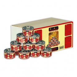 Gel combustible x24