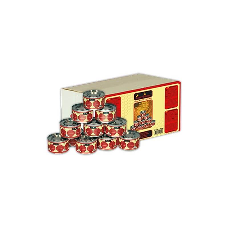 Gel combustible x24