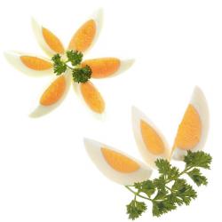 Coupe oeuf dur Colombus | Materiel-horeca | Achat en ligne