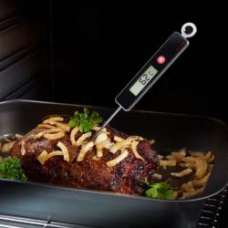 Thermomètre à sonde
