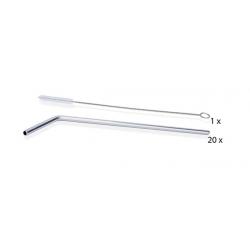 Pailles en inox avec écouvillon
