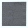 Pierre pour pierrade 15x15cm seule
