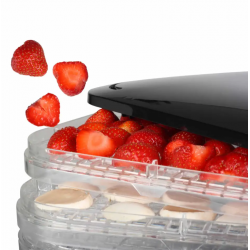 Déshydrateur à aliments 6 niveaux- PRINCESS