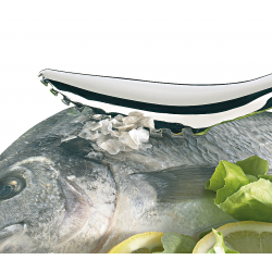 Ecailleur à poisson Kuchenprofi. Pâques le spécialiste du matériel horeca, ustensiles de cuisine professionnels et meilleur rapp