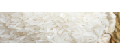 Cuiseur de riz