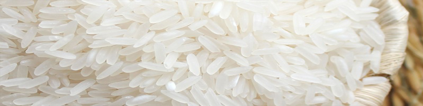 Cuiseur à riz au meilleur prix | Materiel-horeca | Achat en ligne