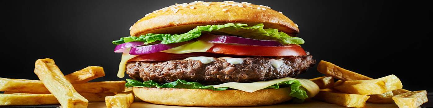 Plaque à hamburger / appareil à hot dog au meilleur prix | Materiel-horeca | Achat en ligne