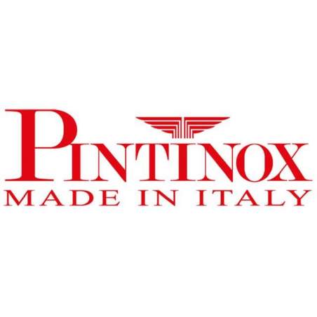 Pintinox